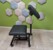 Armchair TATU 2 in 1